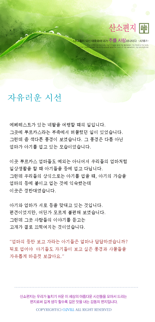 자유로운 시선